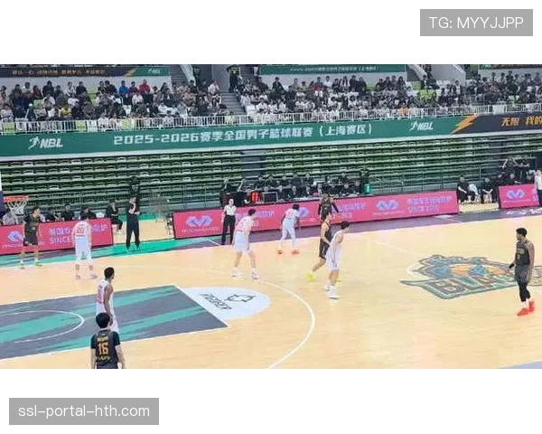 上海玄鸟男篮成立七个月杀入NBL总决赛，书写黑马传奇